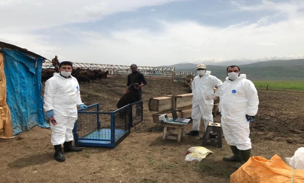 2025 yılı Halk Elinde Ülkesel Hayvan Islahı Proje Bilgilendirme Toplantısı